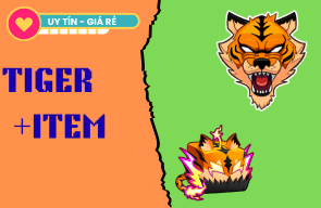 Tiger Rương